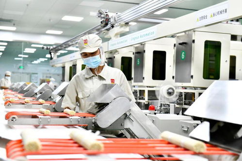 齊魯田間看春耕之變